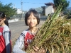 DSC01147 (1024x768)